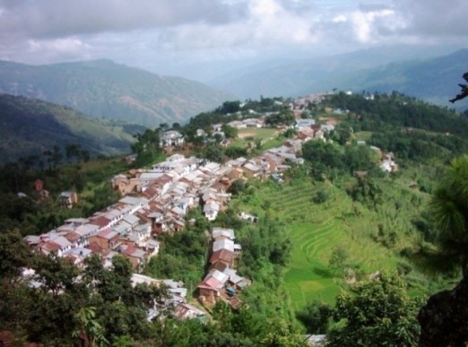 वेब तस्विर 