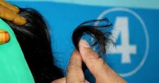 चुल्ठो काटिने भयले महिला आतंकित
