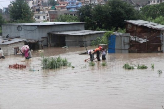 वेब तस्विर