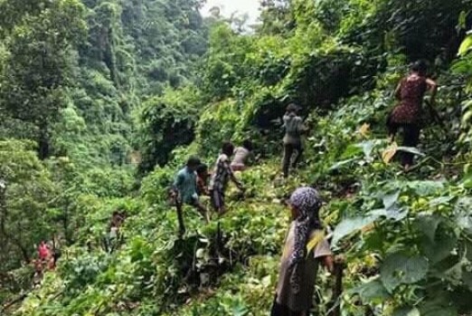 वेब तस्विर