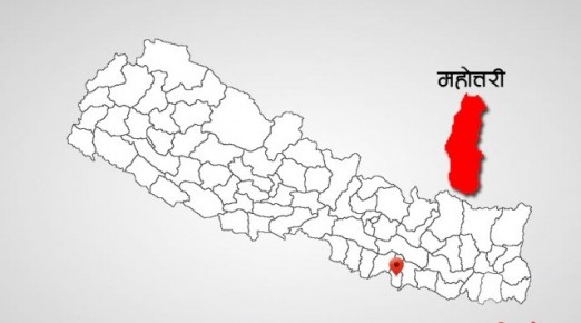वेब तस्विर