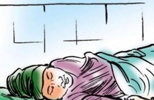 वेब तस्विर
