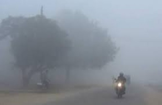 वेब तस्विर