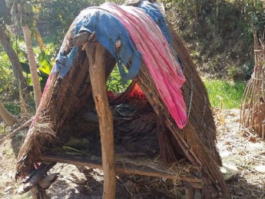 वेब तस्विर 
