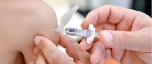 वेब तस्विर 