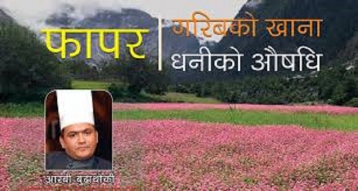 किन खाने फापररु के(के पोषणतत्व पाइन्छ ?