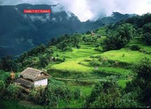 गाउँमा खेतीपातीसगँ दशैँ तिहार झैँ चहलपहल