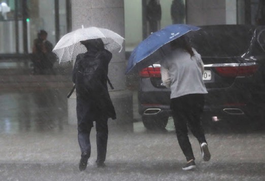 वेब तस्विर 