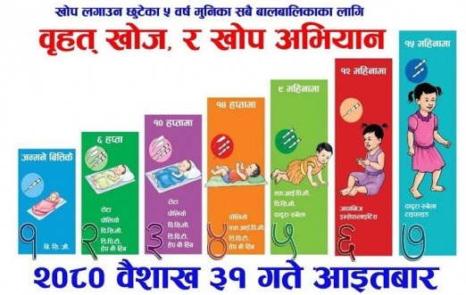 web image