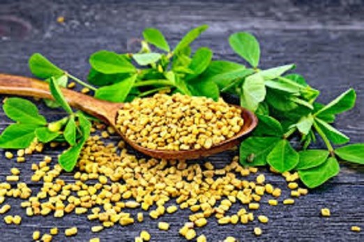  Benefits of eating soaked fenugreek in the morning