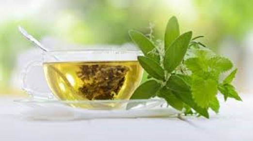 Does green tea lead to weight loss