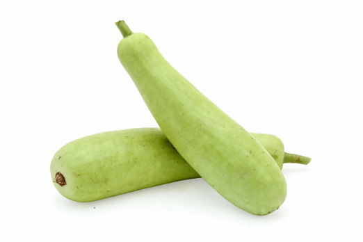 bottle gourd has 10 medicinal properties