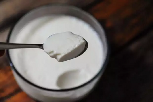  eating curd increases immunity
