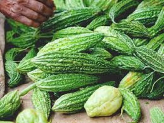 Many benefits of eating bitter gourd
