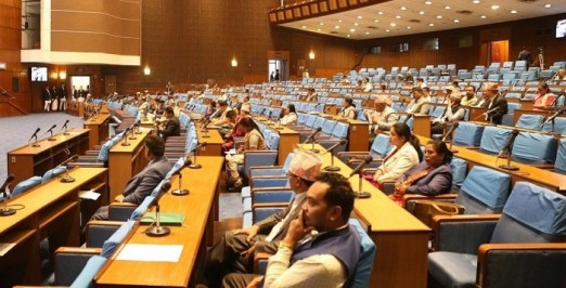 विदेशमा अलपत्र परेका नेपालीको उद्धार गर्न सांसदको माग