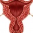 web image 