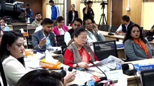 निनुकुमारी कर्णको प्रश्न&ndash; राष्ट्रिय सभाका कारण कुन&ndash;कुन कानुन रोकिए?
