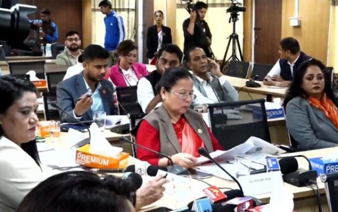 निनुकुमारी कर्णको प्रश्न&ndash; राष्ट्रिय सभाका कारण कुन&ndash;कुन कानुन रोकिए?