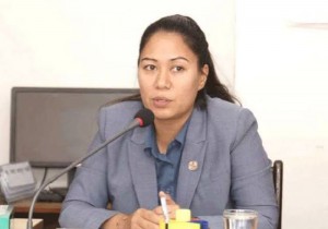 त्रिपुरेश्वर बस आगलागी घटनापछि सुमना श्रेष्ठद्वारा प्रणालीप्रति प्रश्न