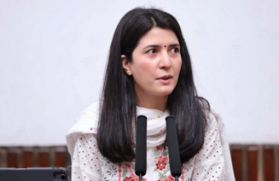 राष्ट्रसंघमा उठाइएको नेपालको मुद्दालाई निरन्तरता दिनुपर्नेमा धितालको जोड