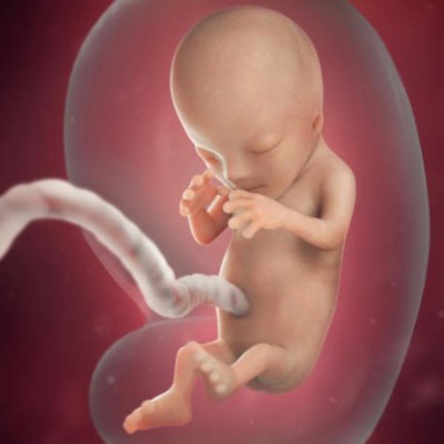 1488858530baby.jpg