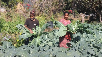 1529663198kisan-birbahadurlamjung.JPG