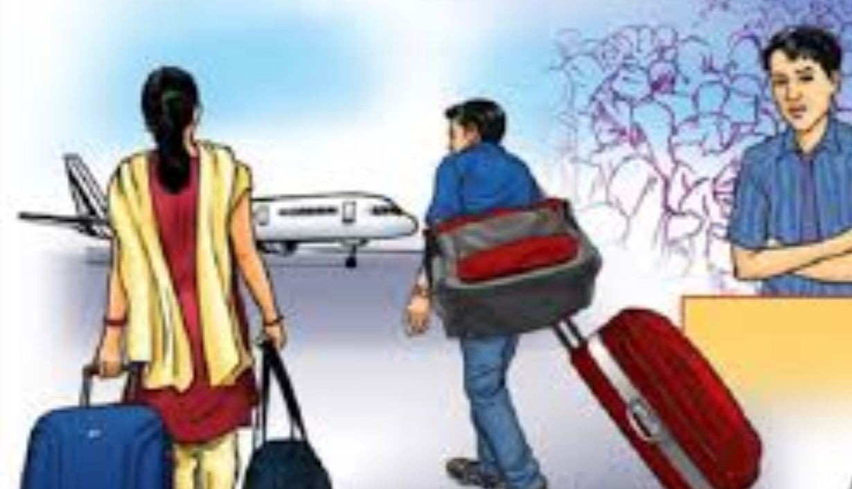 वेब तस्विर 