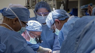 1530791614823-1512222983uterus.jpg