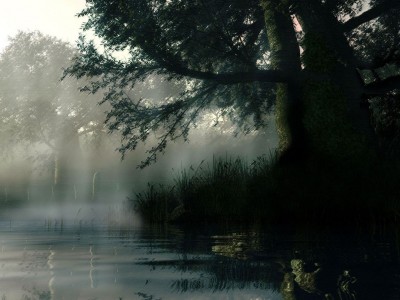 153103853536968174-rainy-wallpaper.jpg