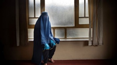 15311198091-2.jpg