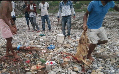 1532242095muhan-puja.gif