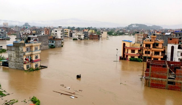 वेब तस्विर 