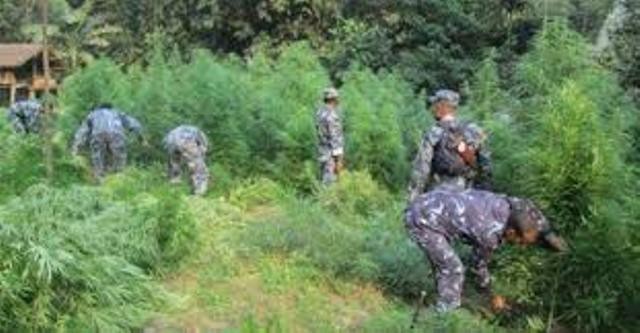 वेब तस्विर 