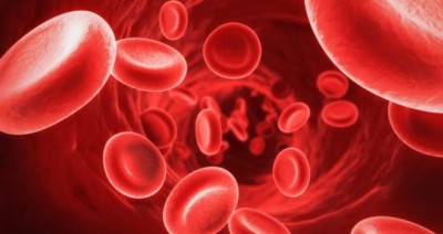 15355403241368039326haemoglobin-604x320.jpeg