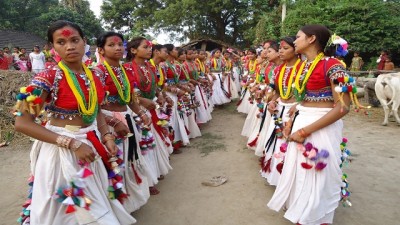 1537080008tharus-aitabari-festival.jpg