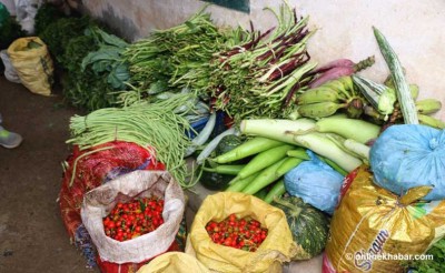 1545734674tarkari-butwal.jpg