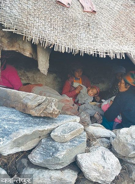 वेब तस्विर