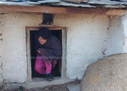 1547794382HAJARI-DHAMI-chau20190112043549.jpg
