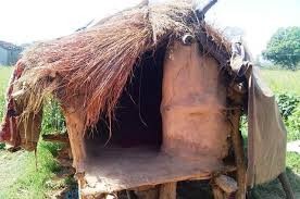 वेब तस्विर