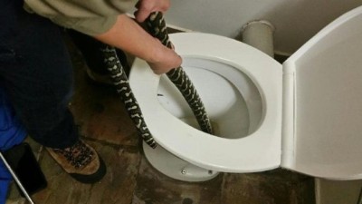 1548423745snake-1.jpg