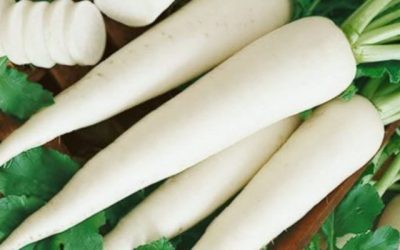 वेब तस्विर