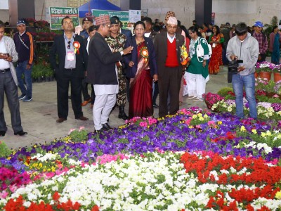 15532587516-2.jpg