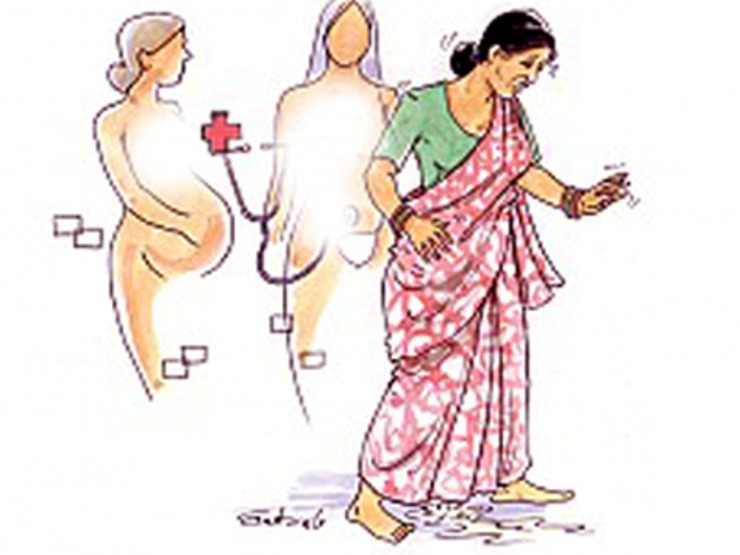वेब तस्विर 