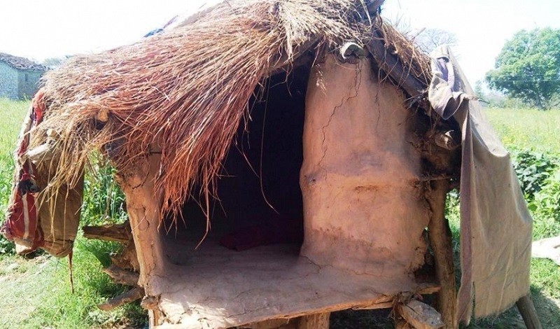 वेब तस्विर 