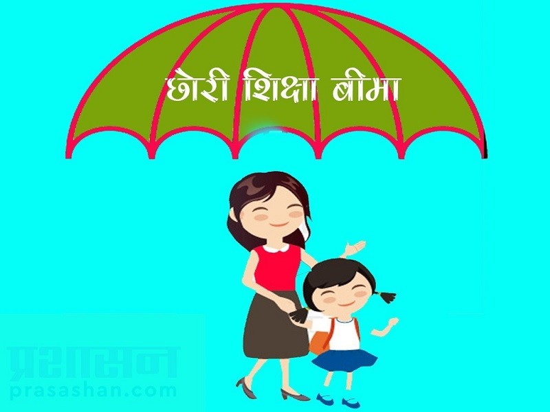 Web : Image