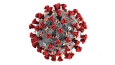 1584504724virus.jpg