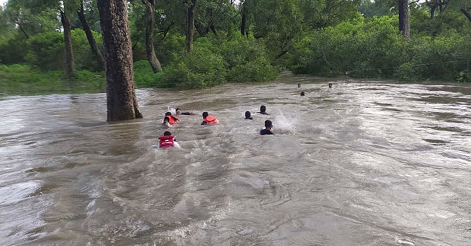 वेब तस्विर