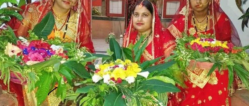 वेब तस्विर 