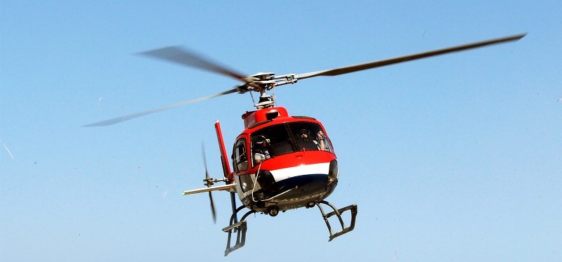 वेब तस्विर 