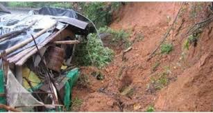 वेब तस्विर 